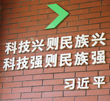 公司環(huán)境