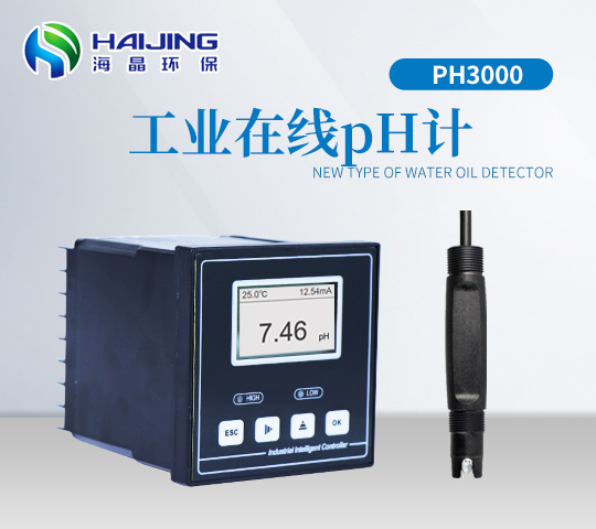 在線(xiàn)pH計PH3000型